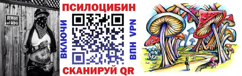 Купить где  Новоалтайск  Псилоцибиновые грибы ЛСД 