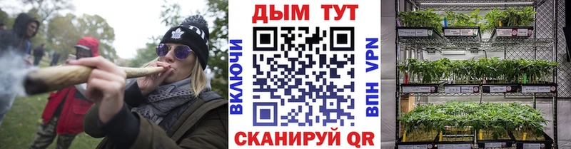 МАРИХУАНА THC 21%  Купить где  Новоалтайск 